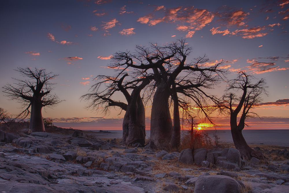 Botswana