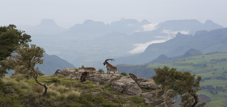 Ethiopia