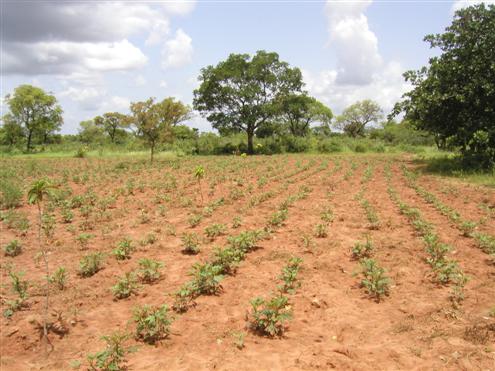 Burkina Faso