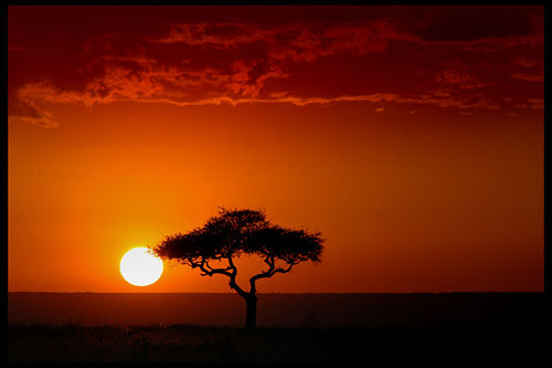 Masai Maran auringonlasku