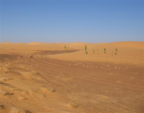 Mauritania