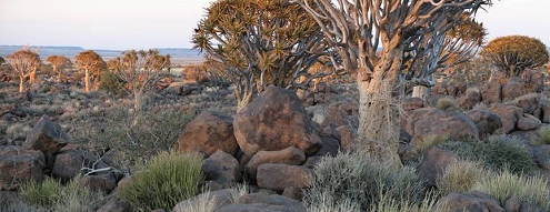 Namibia