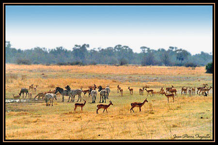 Hemingwayn Zimbabwe ja Botswana