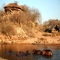 Ruaha River Lodge