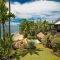 Taveuni Palms