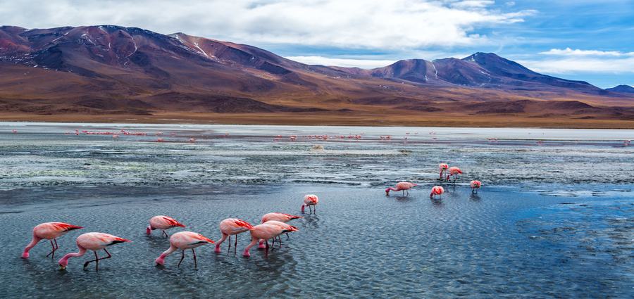Bolivia