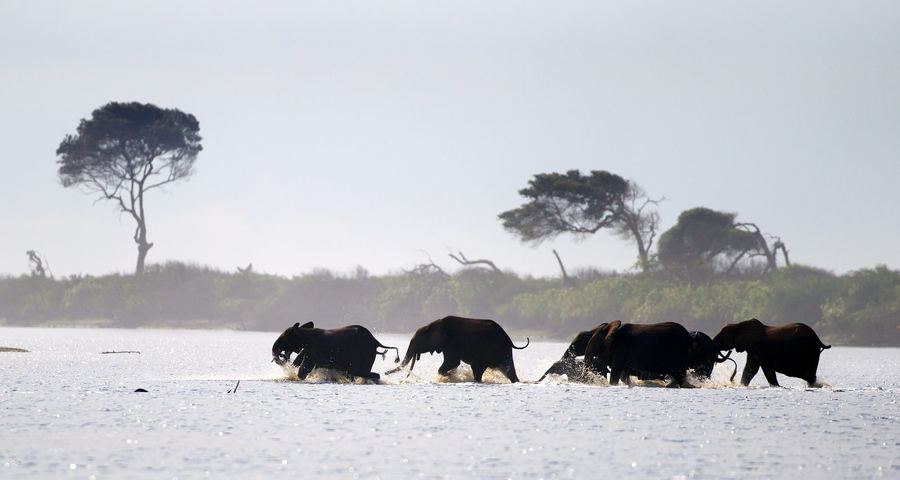 Gabon