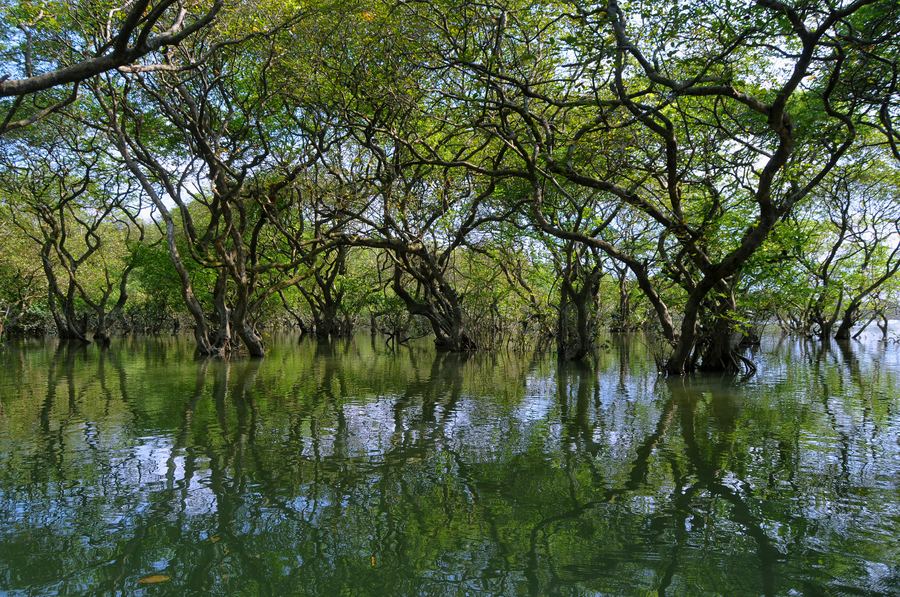 Bangladesh – Dhaka, jokimaisemat ja Sundarbans