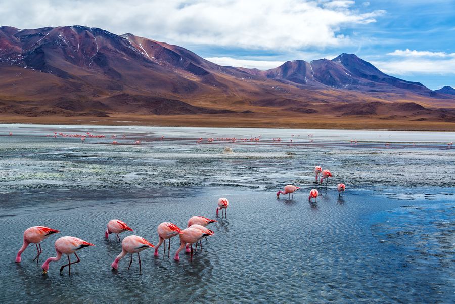ANDIEN KAUPUNGIT JA SALAR DE UYUNI