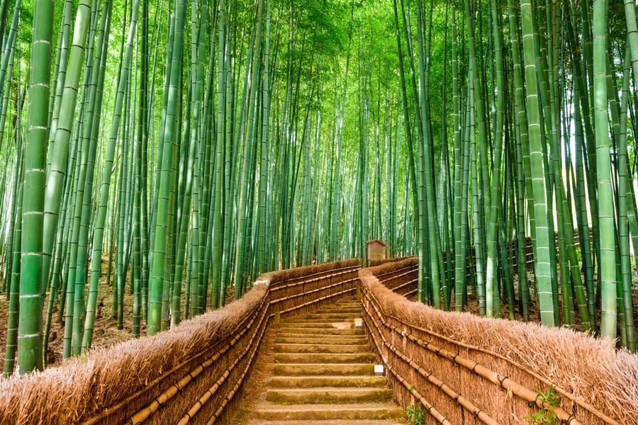 Japani – Hokkaido ja luonnon Japani