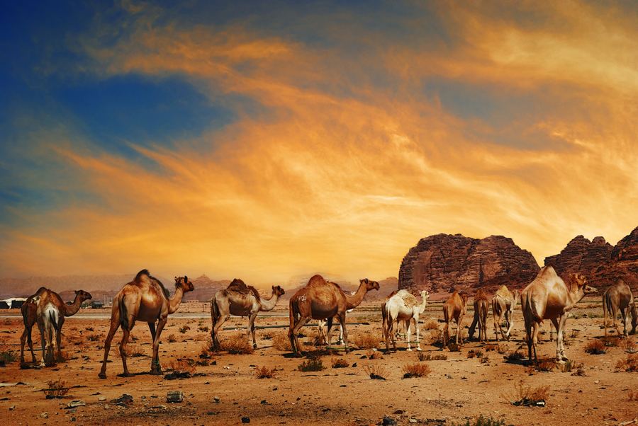 Jordania – Wadi Rum ja tähtitaivas