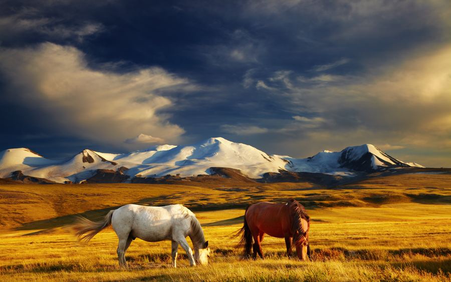 Mongolia – Arojen Mongolia