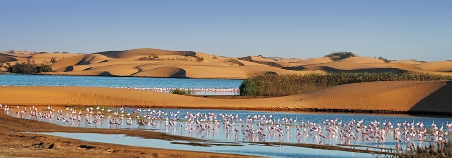 Namibia – aavikko ja Atlantin rannikko