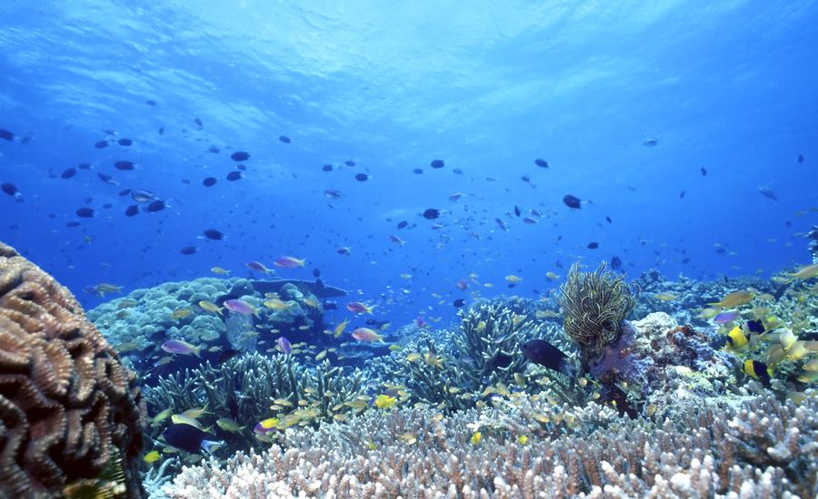Salomonsaaret – Guadalcanal ja Honiara