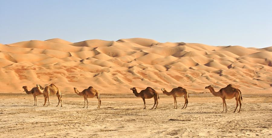 Saudi-Arabia – Riyadh, AlUla ja Jeddah