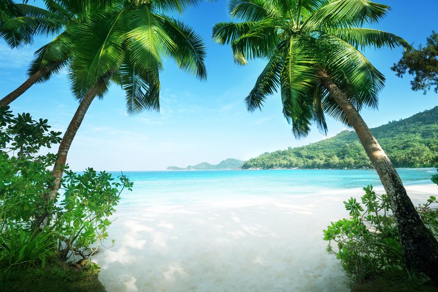 Seychellit – yksityinen saariloma