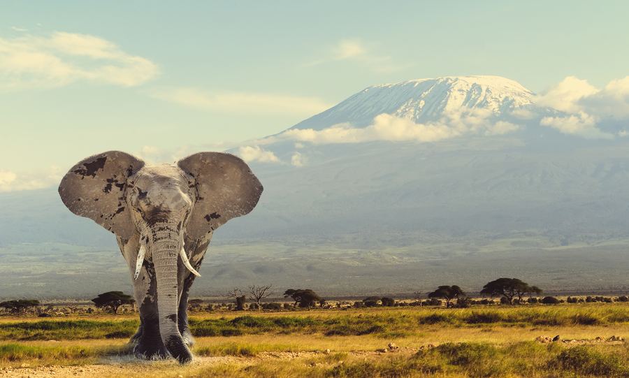 Serengeti, Ngorongoro ja Tarangire