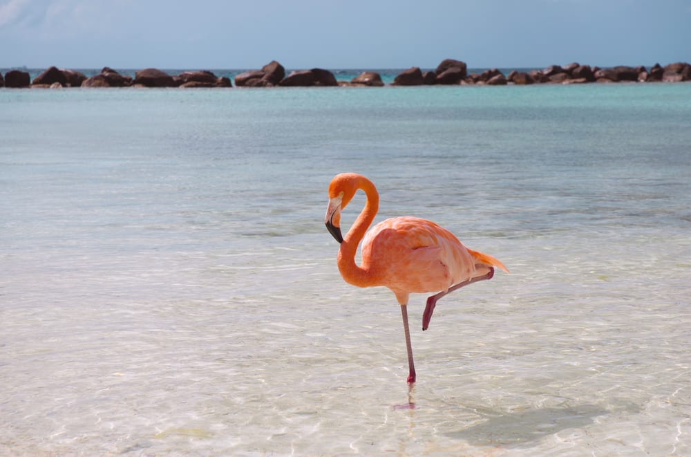 ABC-SAARET – ARUBA, BONAIRE JA CURAÇAO