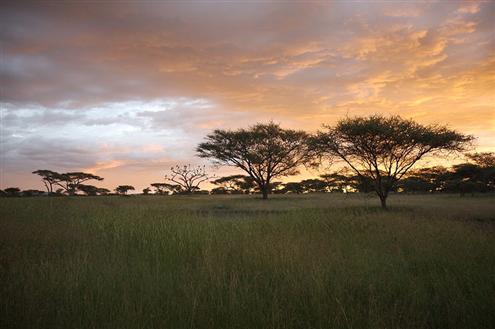 Serengeti National Park