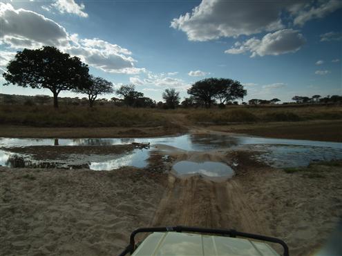 Tarangire National Park